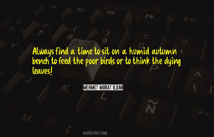 Feed The Birds Quotes #860543