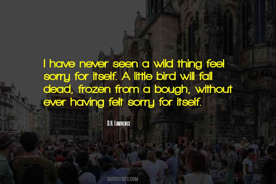 Feel Dead Quotes #502946