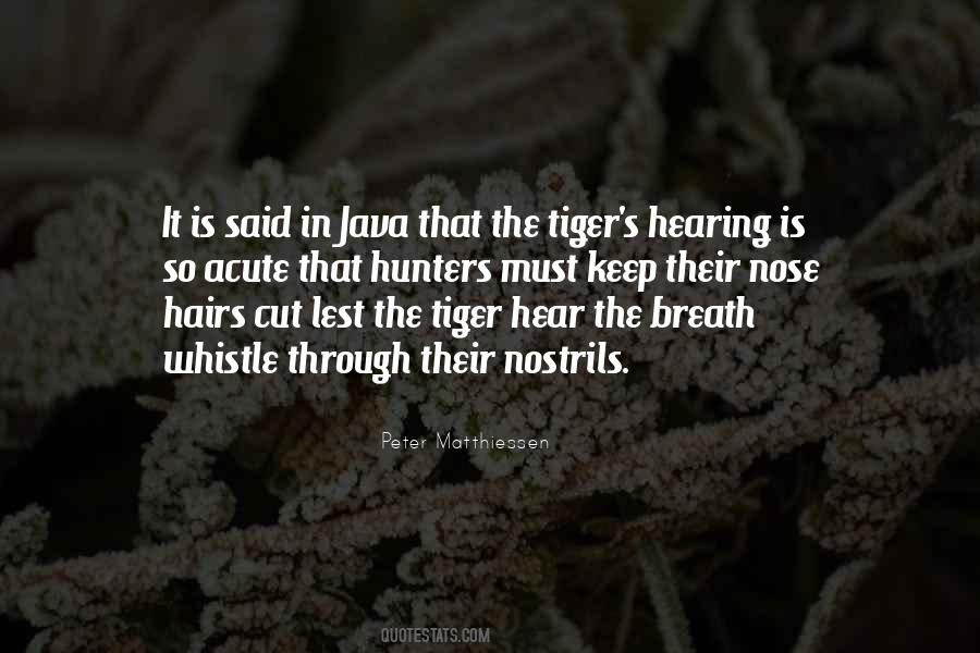 Cut Hair Quotes #307883
