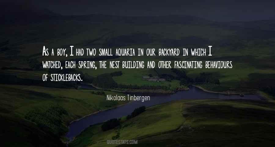 Building A Nest Quotes #1207902