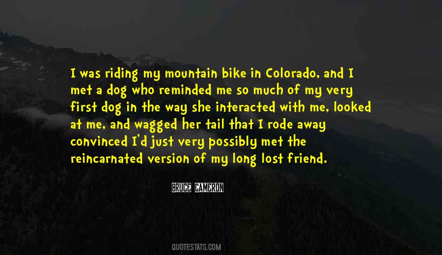 Lost A Dog Quotes #1460527