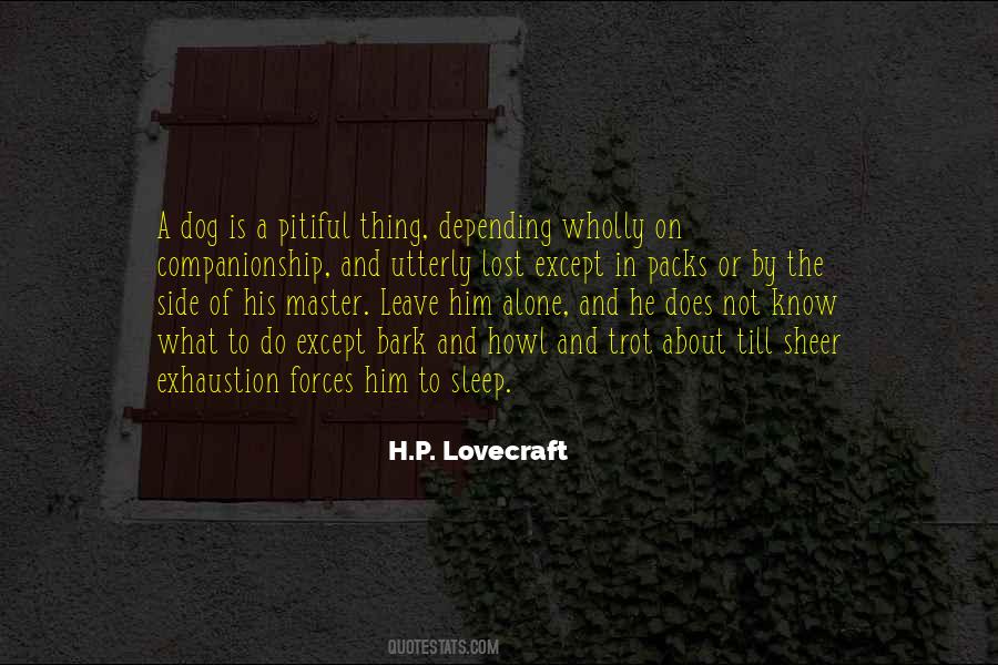 Lost A Dog Quotes #1562681