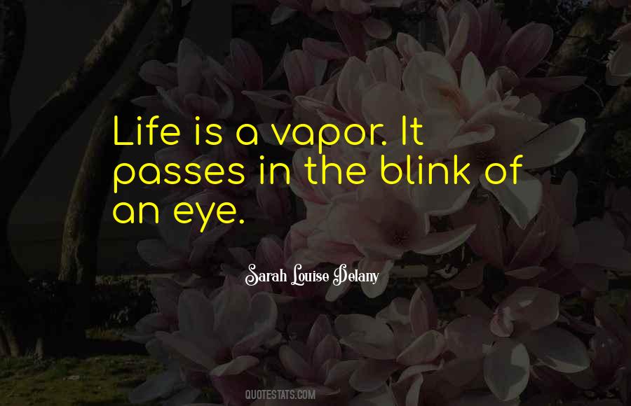 Blink Of The Eye Quotes #848580