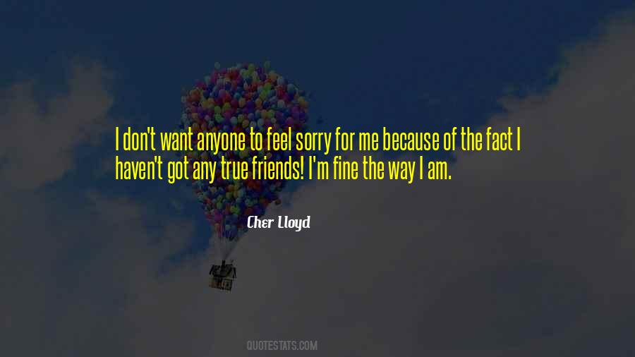 Feel Sorry For Me Quotes #1702204