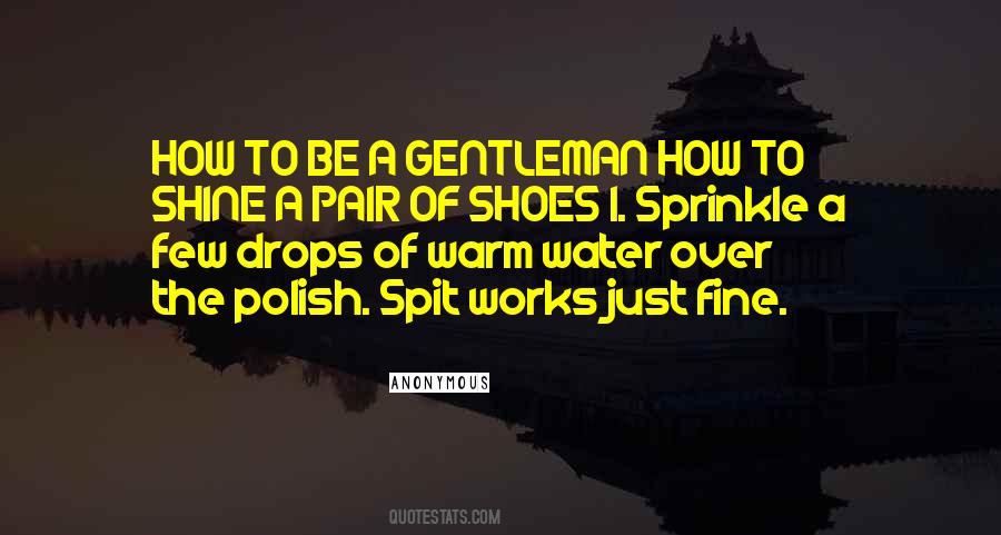 How To Be A Gentleman Quotes #267892