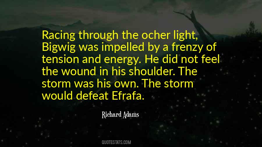 Feel The Light Quotes #455031