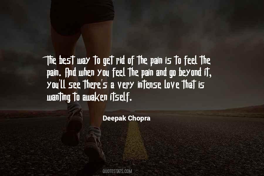 Feel The Pain Quotes #603392