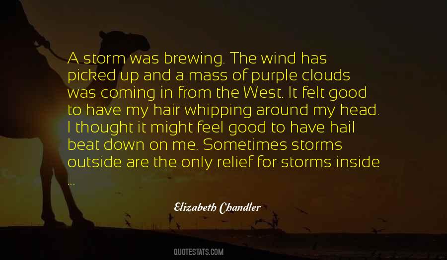 Feel The Wind Quotes #743135