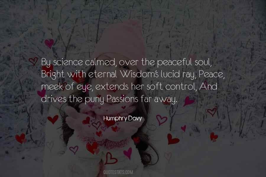 Passions Of The Soul Quotes #1509189