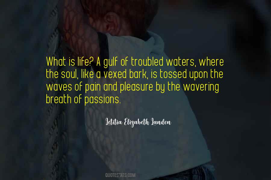 Passions Of The Soul Quotes #730530