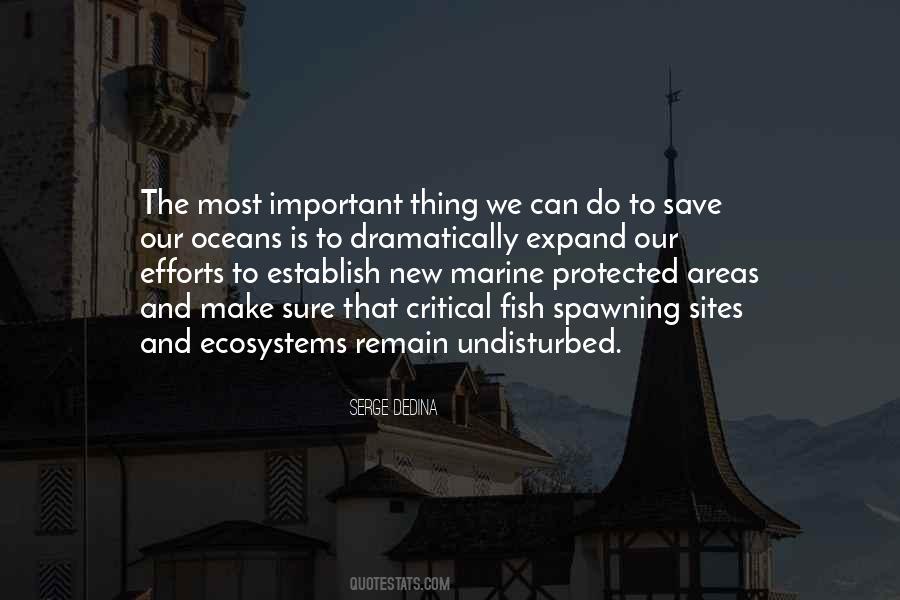 Save Fish Quotes #1630242