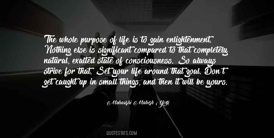 Small Will Quotes #246652