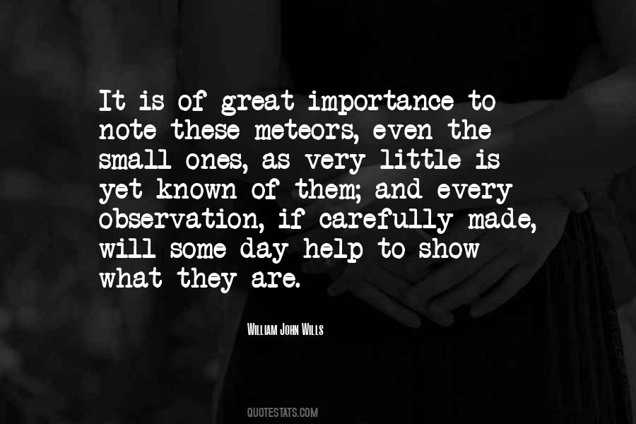 Small Will Quotes #520940