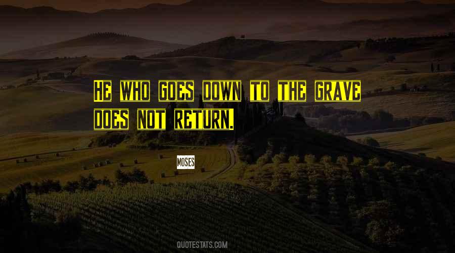 To The Grave Quotes #1443957