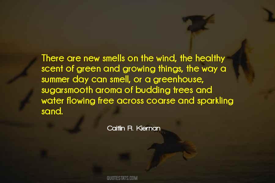 Summer Water Quotes #1441035