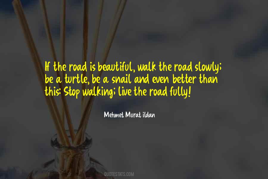 Walk The Road Quotes #948068