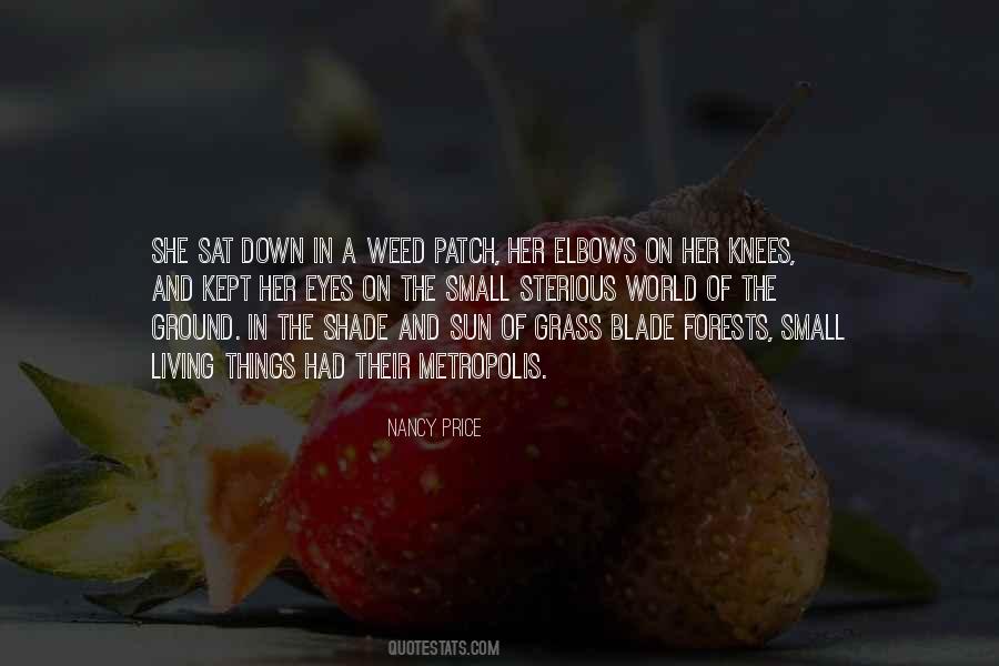 Eyes And Sun Quotes #1732591