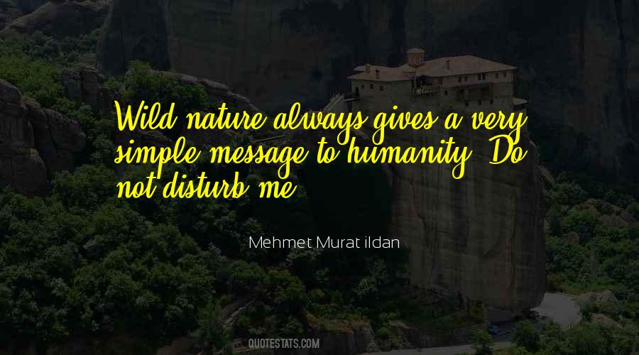 The Simple Wild Quotes #1161964
