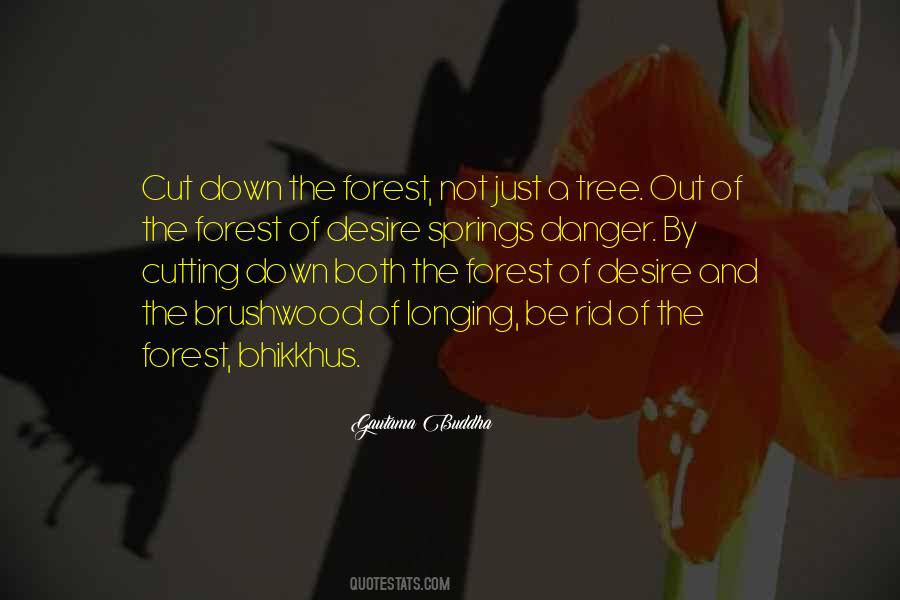 Spring Tree Quotes #149887