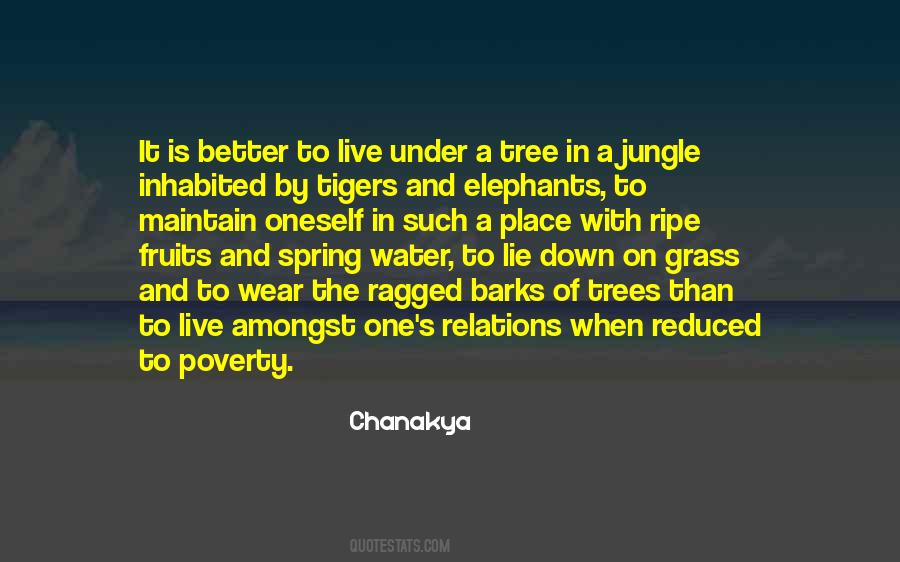 Spring Tree Quotes #1578179