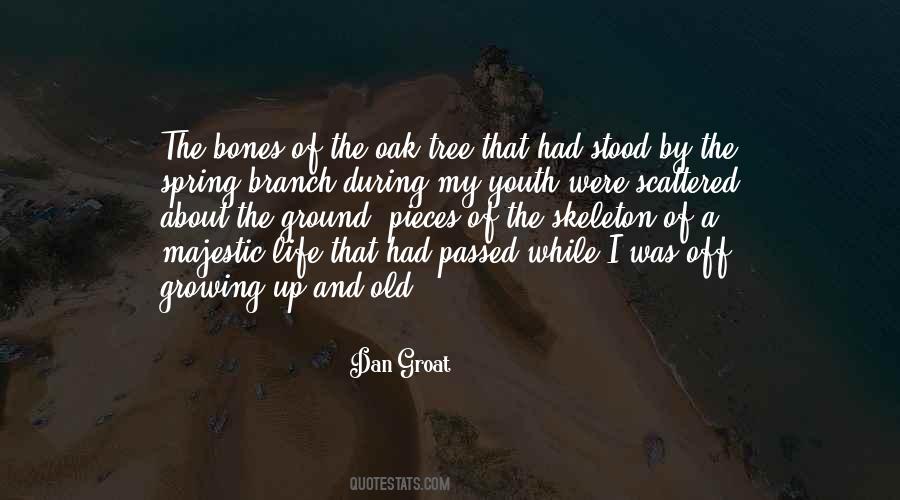 Spring Tree Quotes #603424