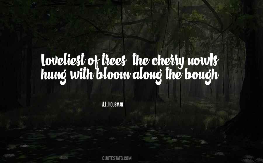 Spring Tree Quotes #676618