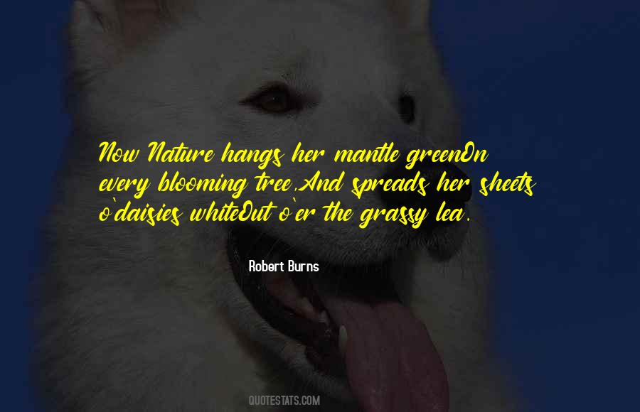 Spring Tree Quotes #742863