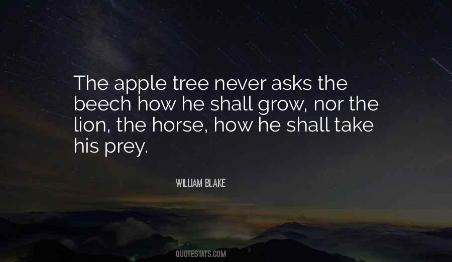 Quotes About An Apple Tree #429317