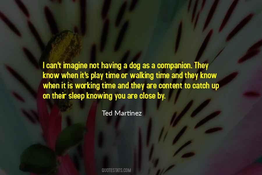 Having A Companion Quotes #399503
