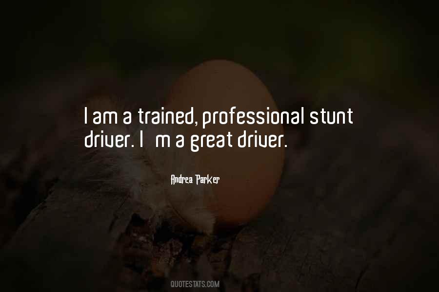 Great Professional Quotes #438468