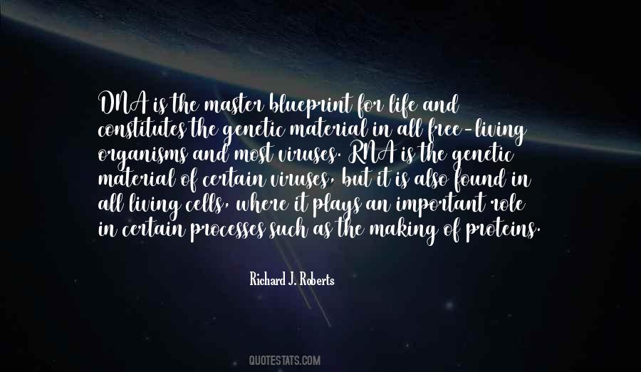 Most Important In Life Quotes #966562