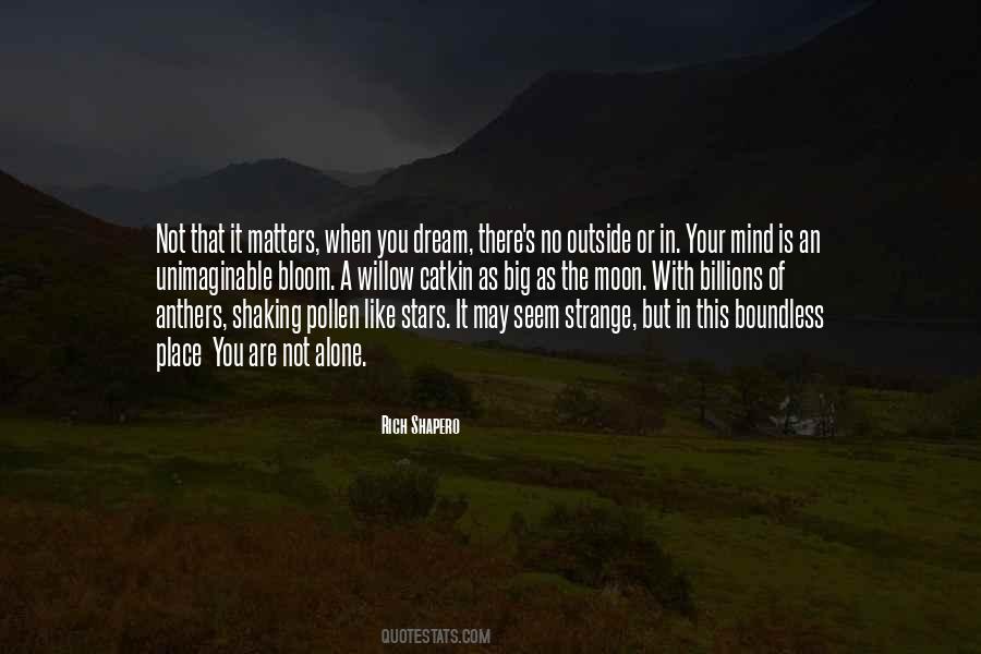 Moon Alone Quotes #1293431