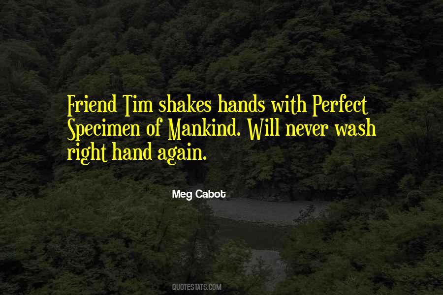 Perfect Friend Quotes #707640