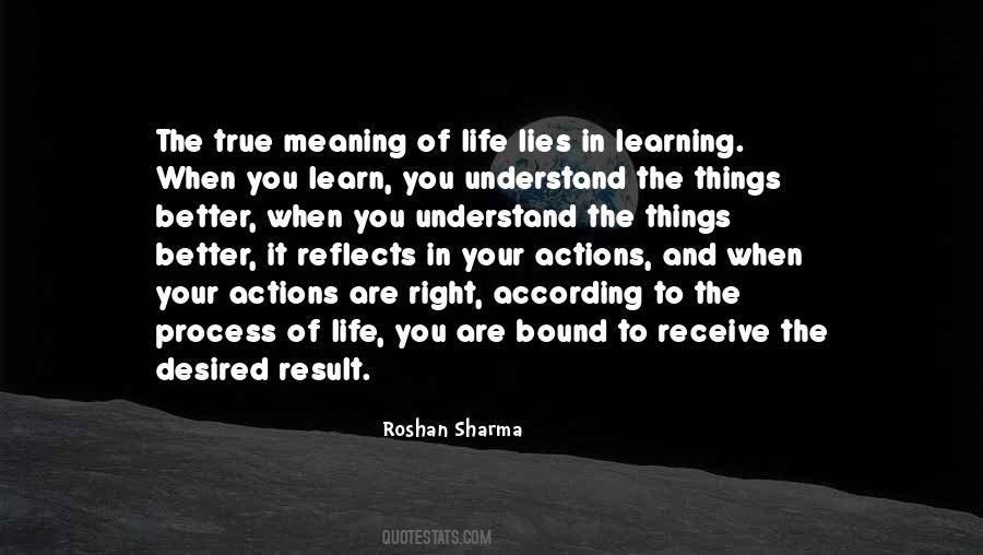 The True Meaning Of Life Quotes #907799