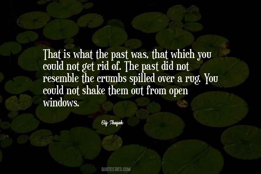 The Past Is Past Quotes #140279