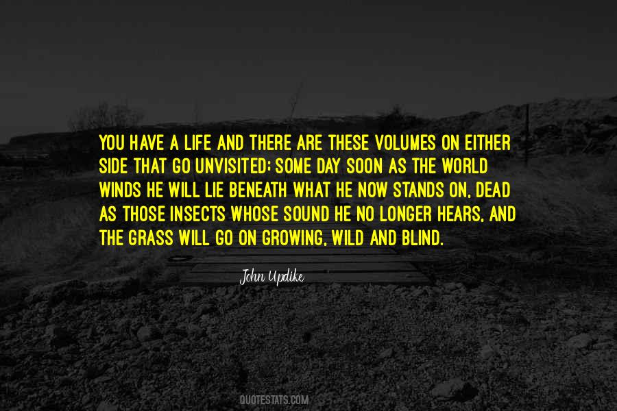 World Will Go On Quotes #1167641