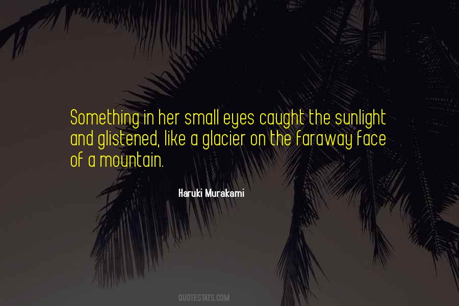 Sunlight On My Face Quotes #1551874