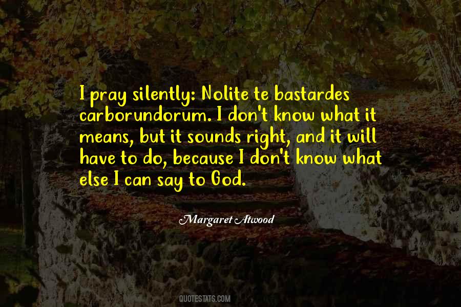 What Else Can I Do Quotes #1015162