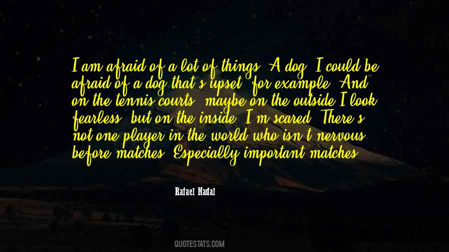 I Am Not Upset Quotes #219857