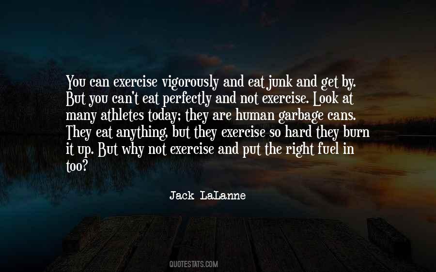 Burn It Up Quotes #1260070
