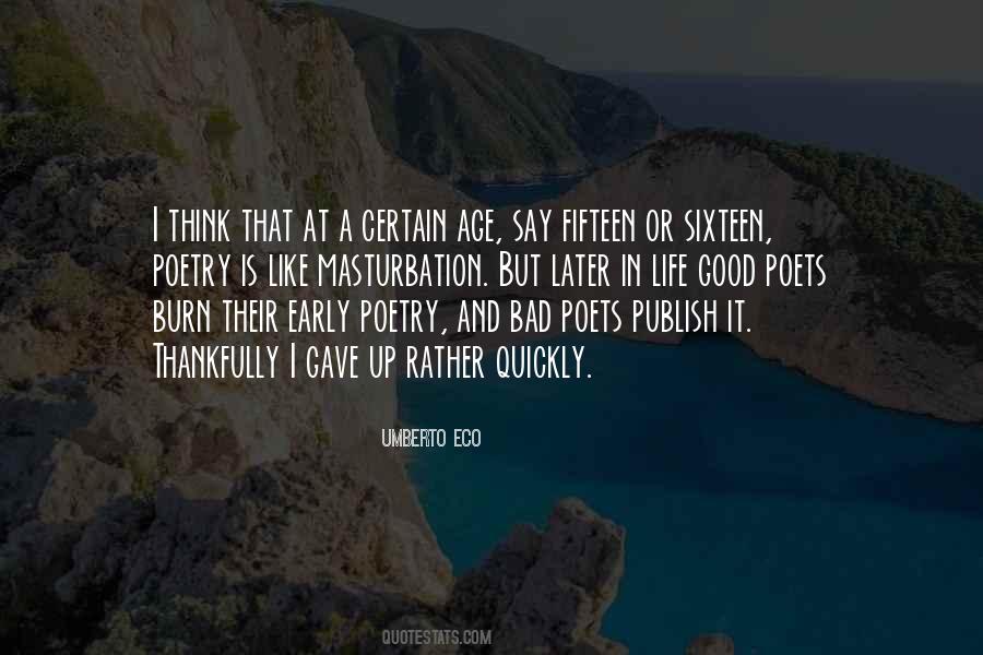 Burn It Up Quotes #1406350