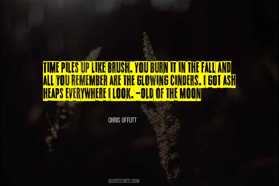 Burn It Up Quotes #1867003