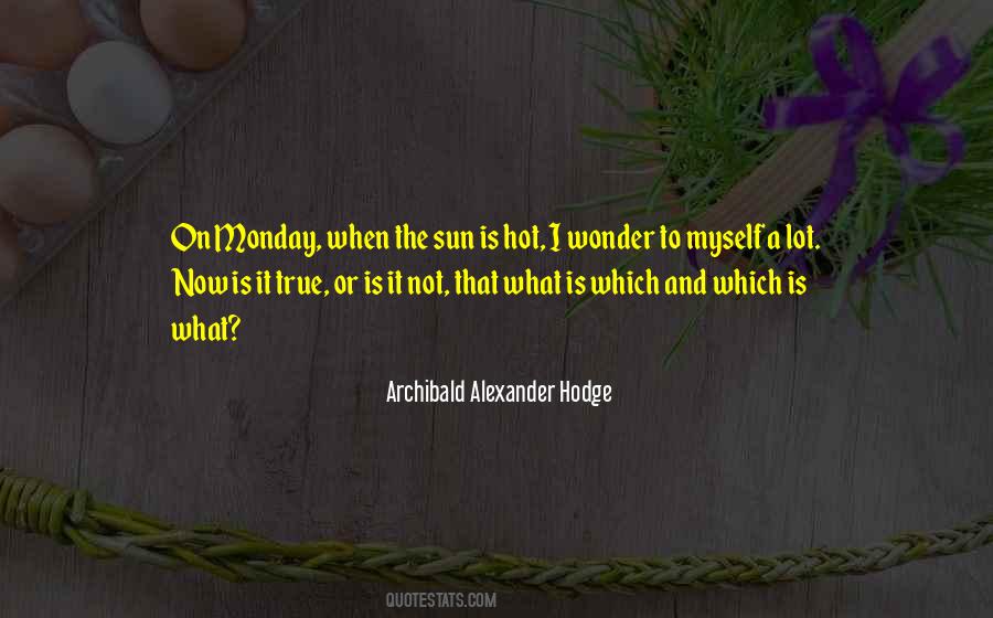 I Wonder A Lot Quotes #94292