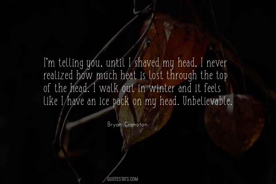 Feels Like Winter Quotes #558591