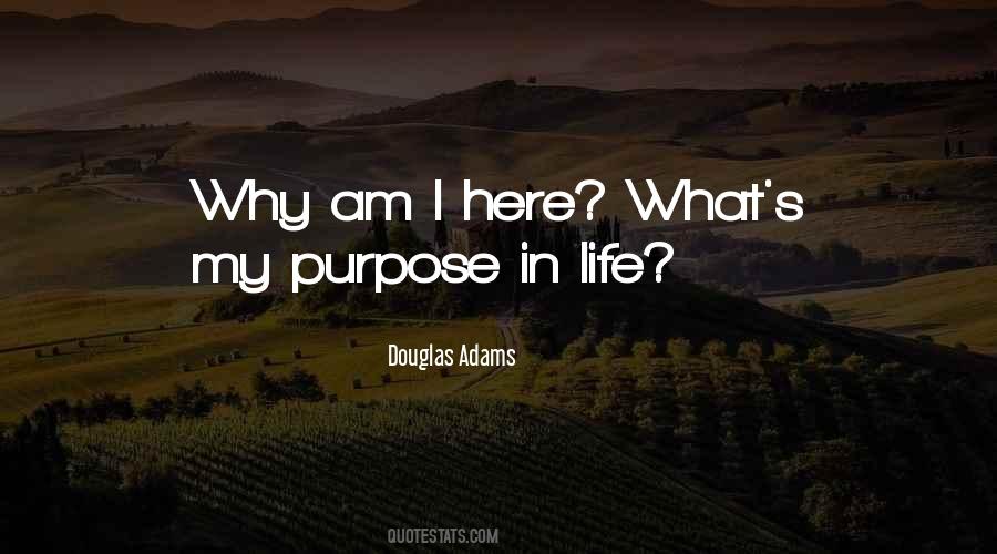 Why I Am Here Quotes #539696