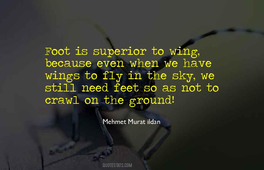 Feet On Ground Quotes #815900