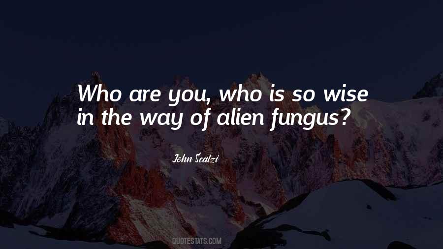 You Are Wise Quotes #23586