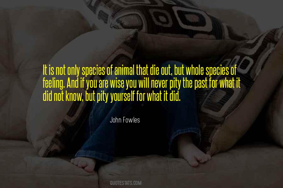 You Are Wise Quotes #876707
