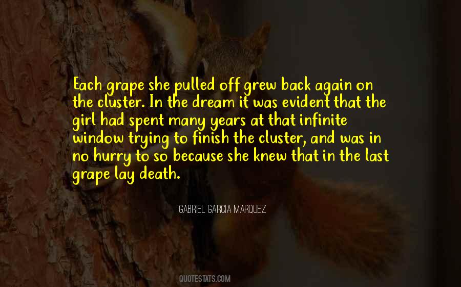 Girl Can Dream Quotes #425612