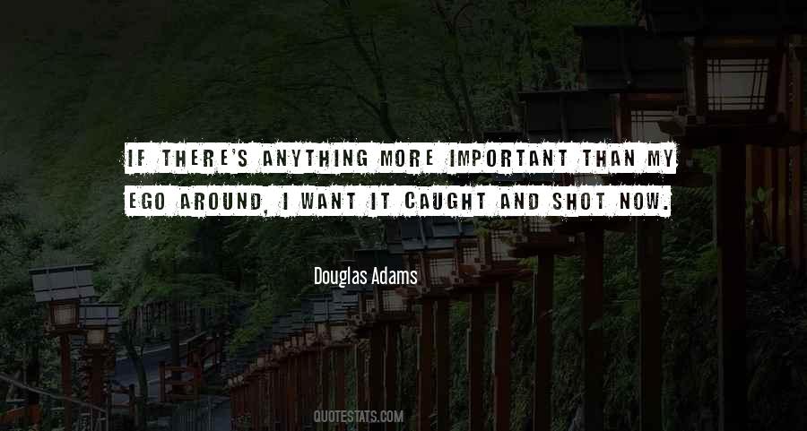 Ego Important Quotes #986716